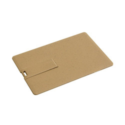 Chiavetta biodegradabile 4GB Chiavetta biodegradabile 4GB