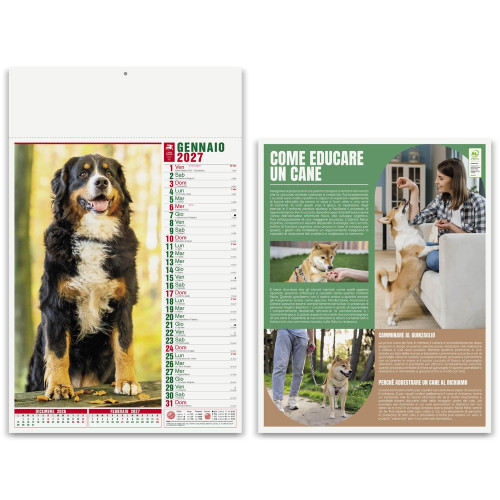 Calendari con foto di cuccioli di animali Calendari con foto di cuccioli di animali