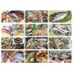 Calendario illustrato MARE IN TAVOLA promozionale Calendario illustrato MARE IN TAVOLA promozionale