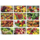 Calendario illustrato FRUTTA E VERDURA con il tuo logo Calendario illustrato FRUTTA E VERDURA con il tuo logo
