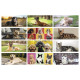 Calendario con foto cuccioli cani e gatti