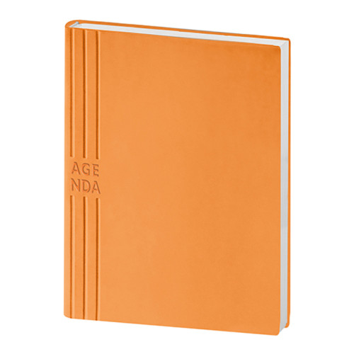 Agenda giornaliera 17,5x24,5 cm personalizzabili Agenda giornaliera 17,5x24,5 cm personalizzabili