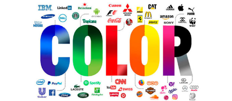 La psicologia del Branding: Come i Colori, i font e la grafica influenzano la percezione del cliente