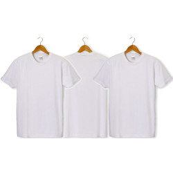 T-shirt cotone Biologico 145gr