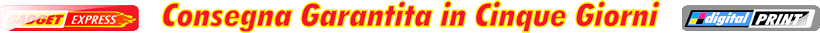 Consegna rapida garantita in cinque giorni. Categoria dedicata ad articoli promozionali in consegna rapida.